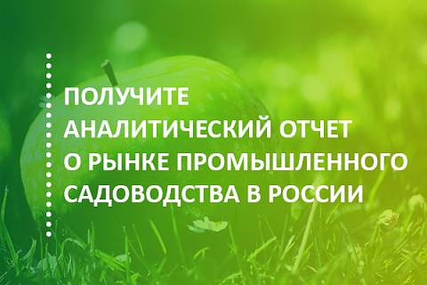 Отчет об итогах 2018 года и перспективах развития рынка промышленного садоводства в России